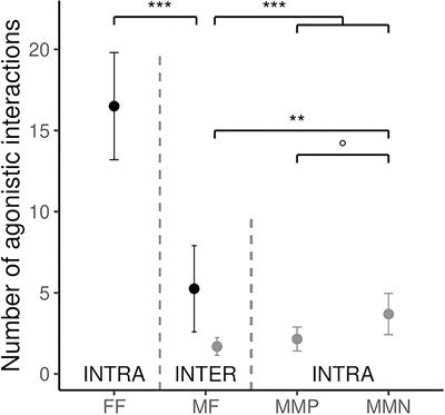 Sex Role Reversal and High Frequency of Social Polyandry in the Pheasant-Tailed Jacana (Hydrophasianus chirurgus)